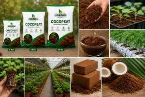 Your Cocopeat Looked Fine. So Why Did the Seedlings Fail?
